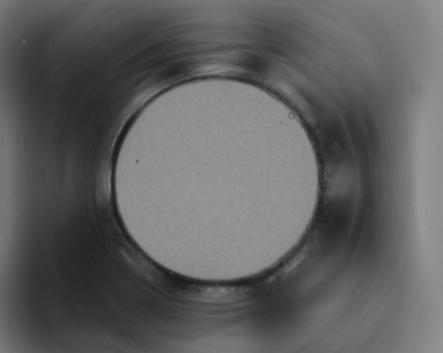 X0000094191322200711161740