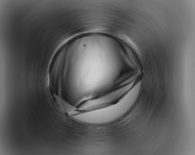 X0000094191324200711161740