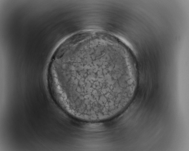 X0000094191325200711161740