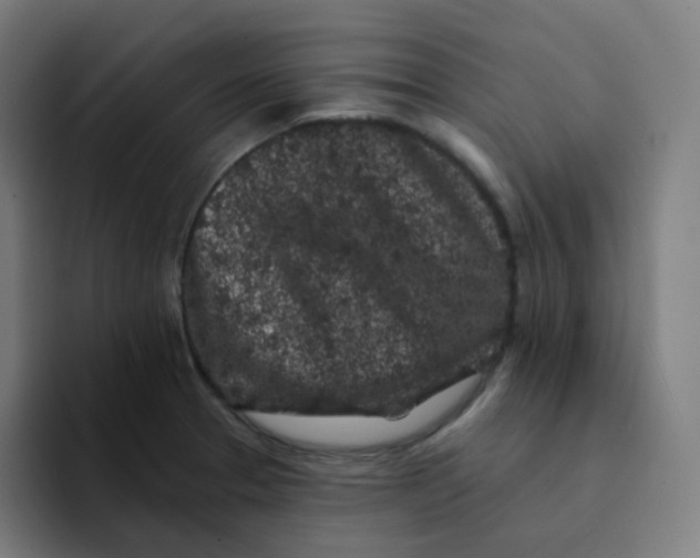 X0000094191329200711161740