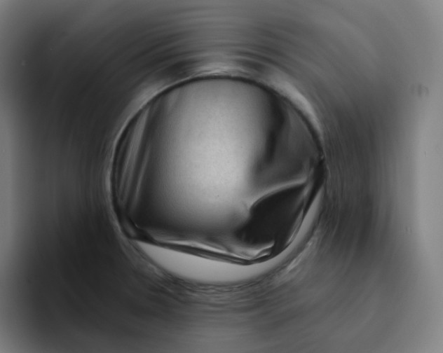 X0000094191330200711161740