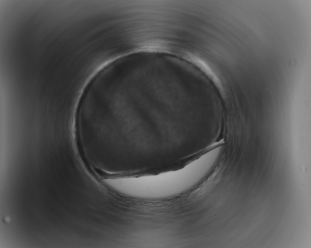 X0000094191331200711161740