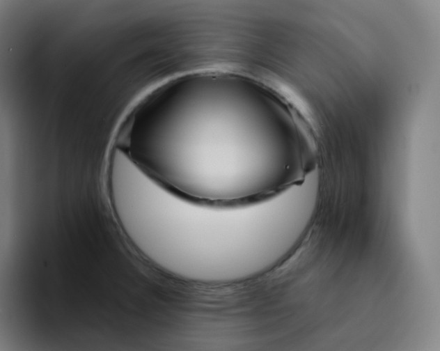 X0000094191332200711161740