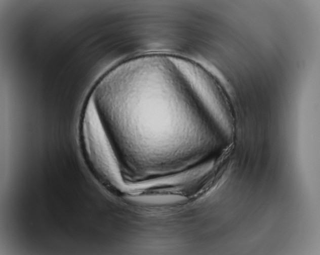 X0000094191333200711161740