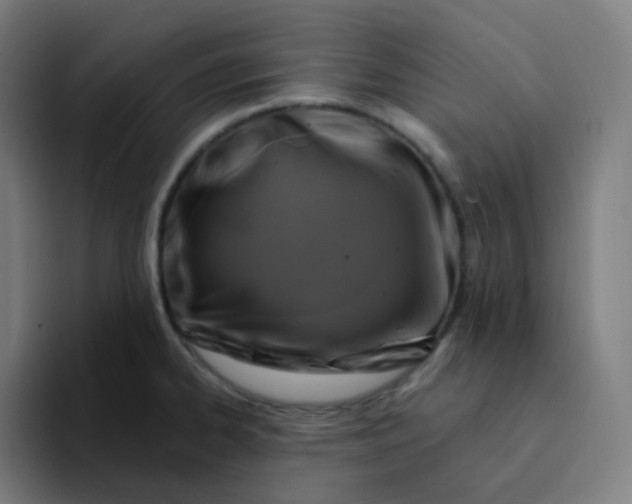 X0000094191334200711161740