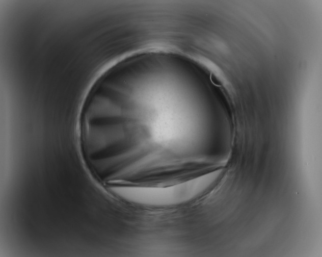 X0000094191335200711161740