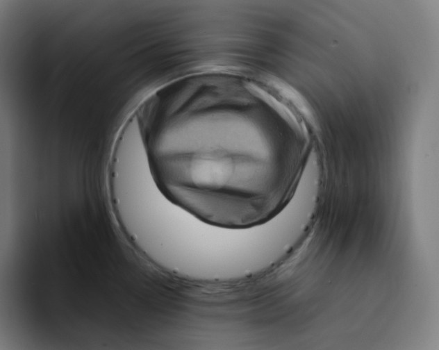 X0000094191338200711161740