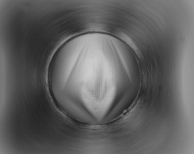 X0000094191339200711161740