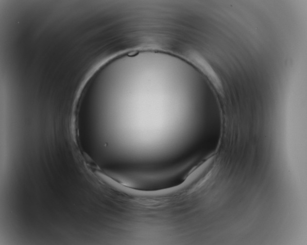 X0000094191340200711161740