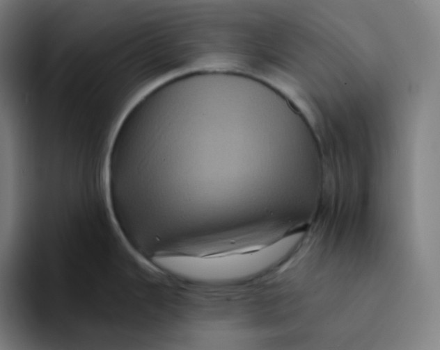 X0000094191343200711161740