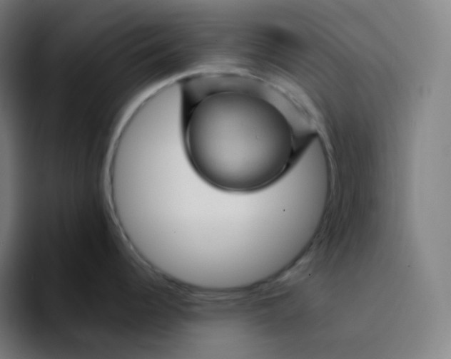 X0000094191344200711161740