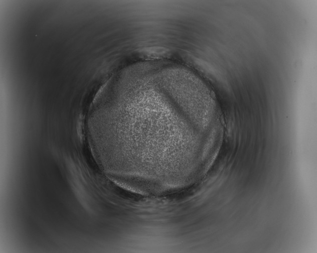 X0000094191346200711161740