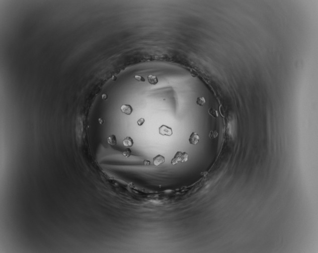 X0000094191347200711161740