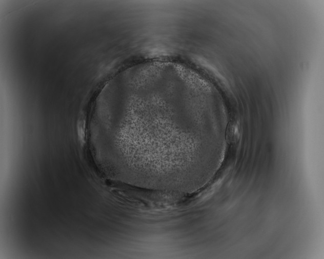 X0000094191348200711161740