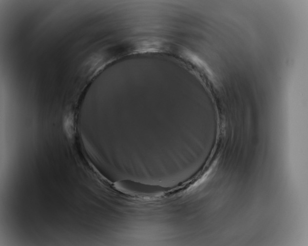 X0000094191353200711161740