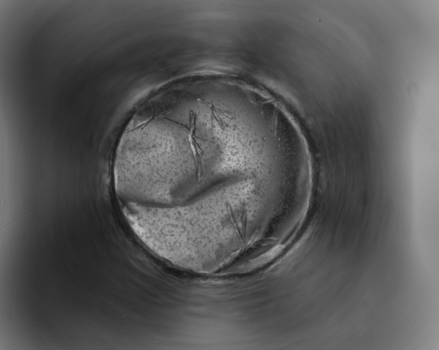 X0000094191355200711161740