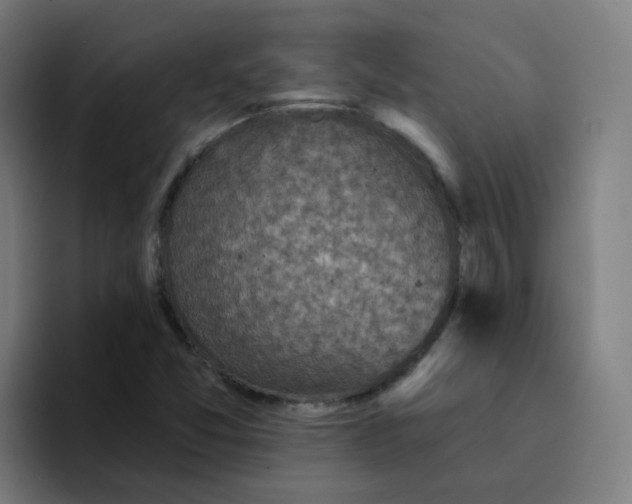 X0000094191357200711161740