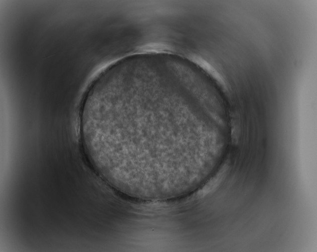 X0000094191358200711161739