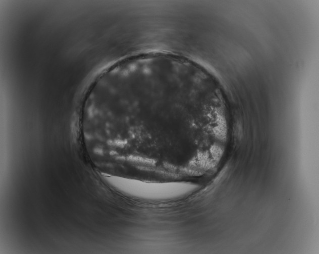 X0000094191359200711161739