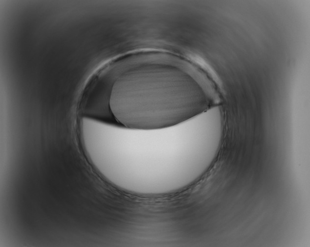 X0000094191360200711161739