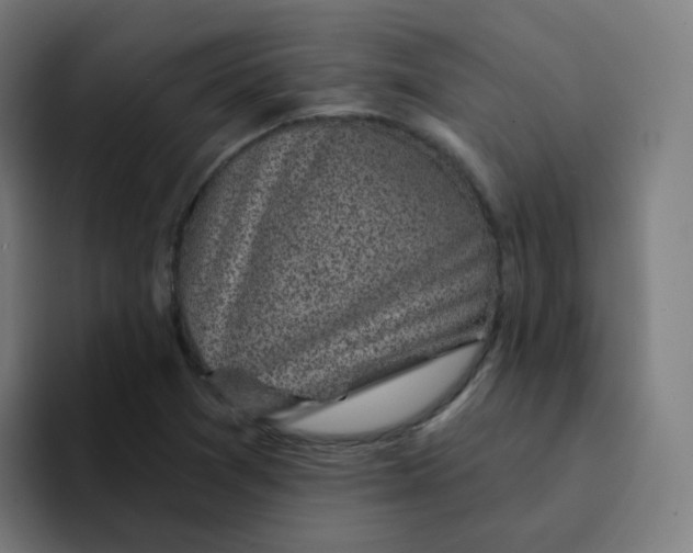 X0000094191361200711161739