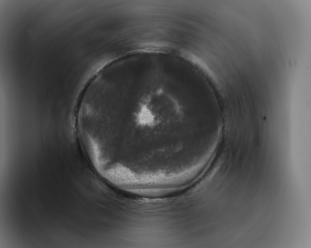 X0000094191362200711161739