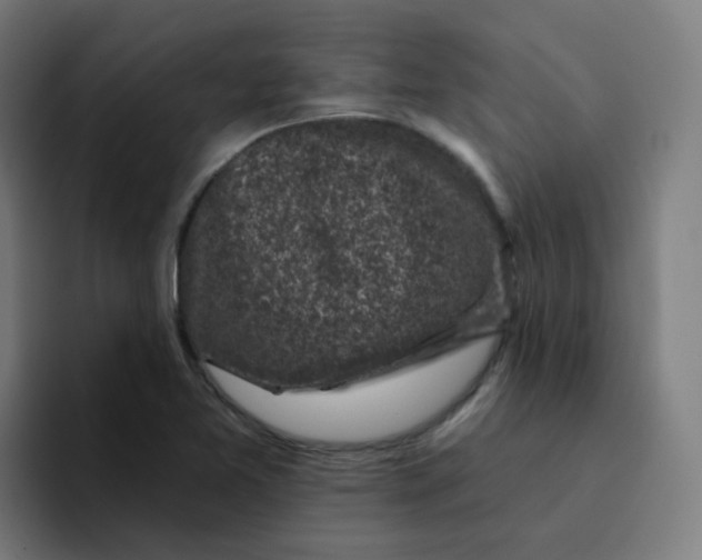 X0000094191365200711161739