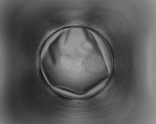 X0000094191366200711161739