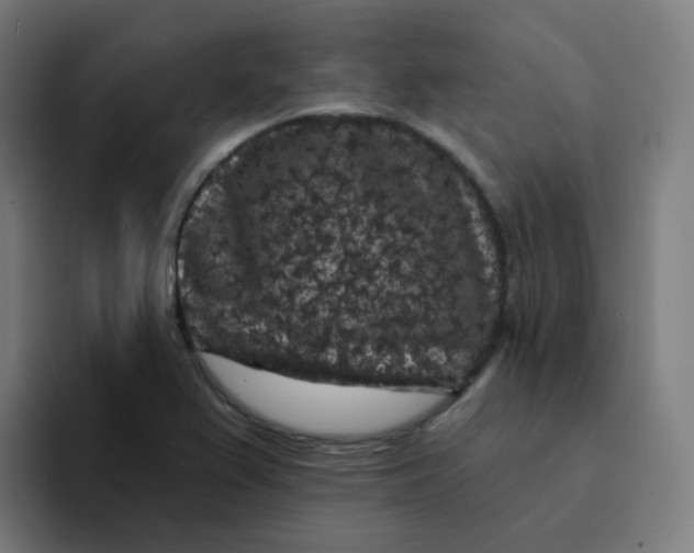 X0000094191367200711161739