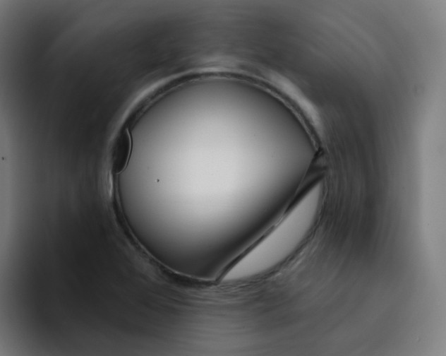 X0000094191368200711161739