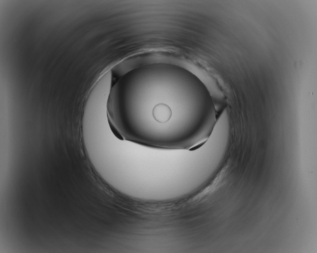 X0000094191369200711161739