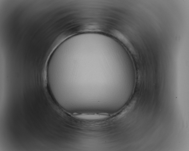 X0000094191370200711161739