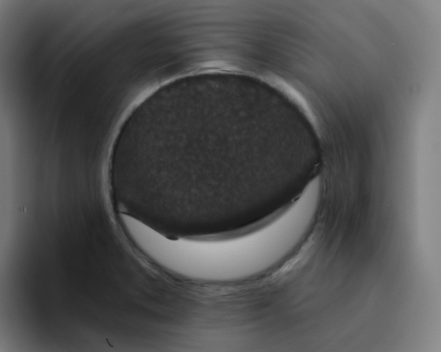 X0000094191373200711161739