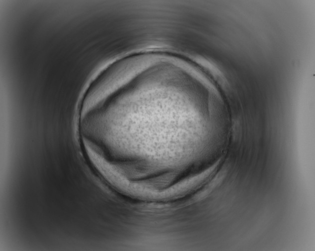 X0000094191374200711161739