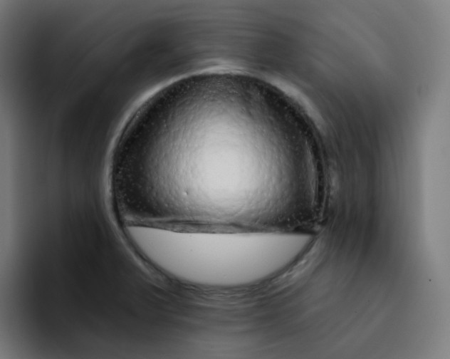 X0000094191375200711161739