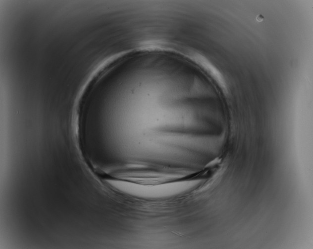 X0000094191376200711161739