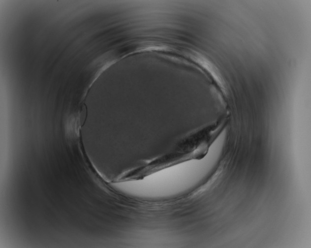 X0000094191377200711161739