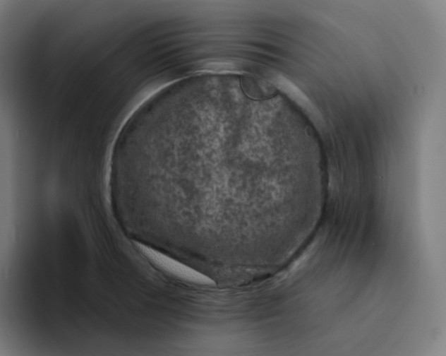 X0000094191378200711161739