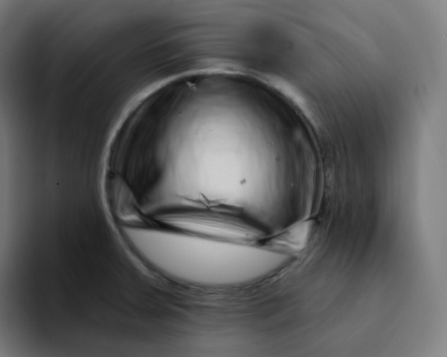 X0000094191379200711161739