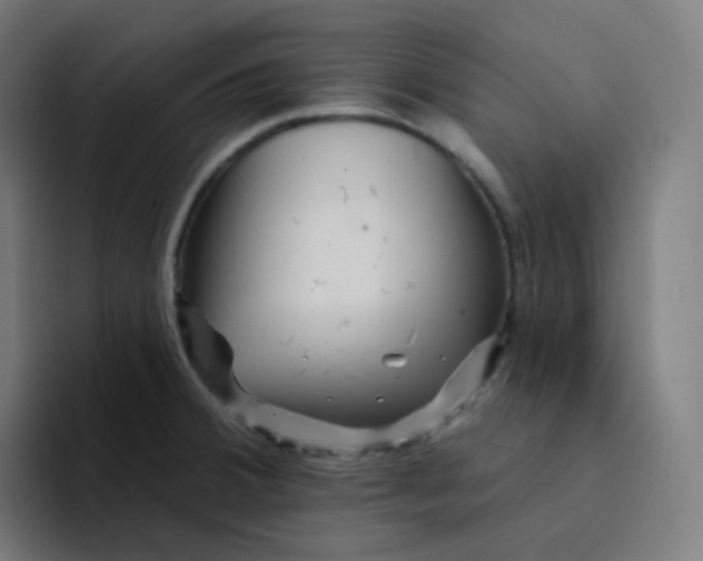 X0000094191380200711161739