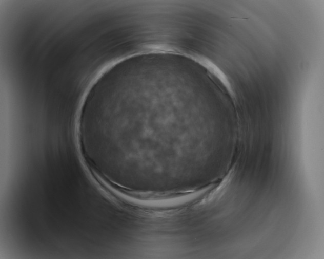 X0000094191381200711161739