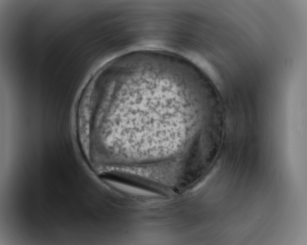 X0000094191382200711161739