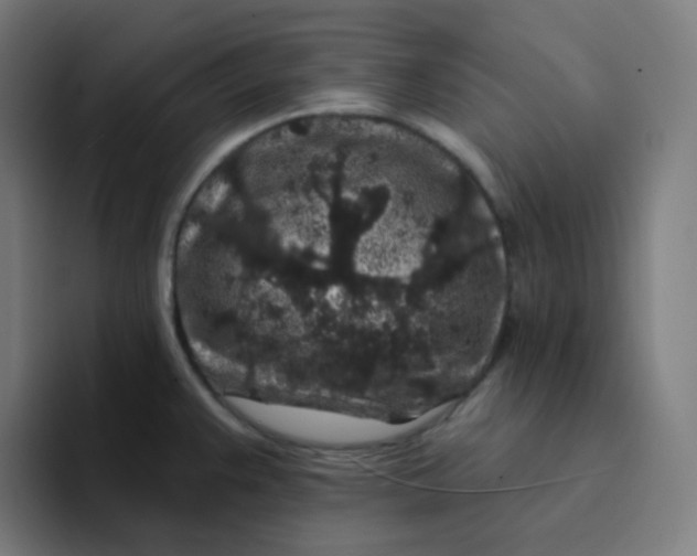 X0000094191383200711161739