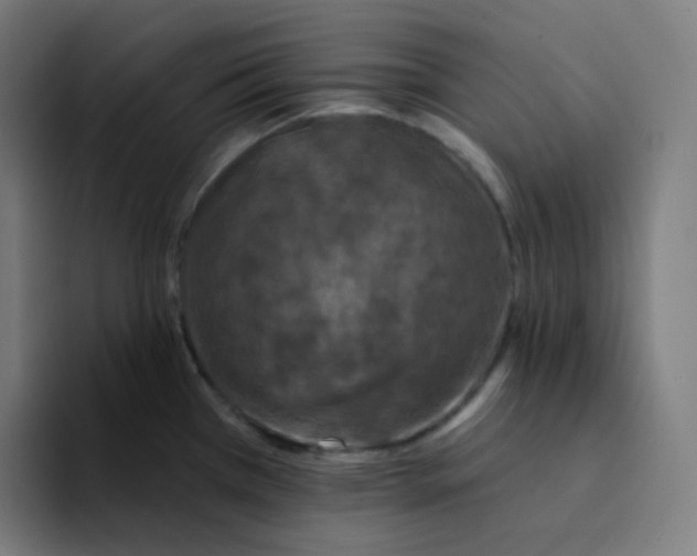 X0000094191385200711161739