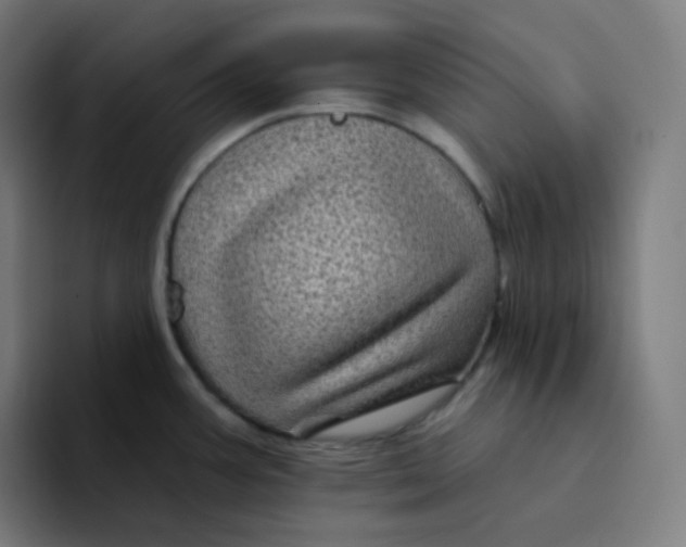 X0000094191387200711161739