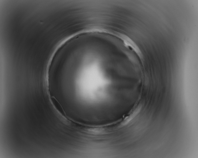 X0000094191388200711161739