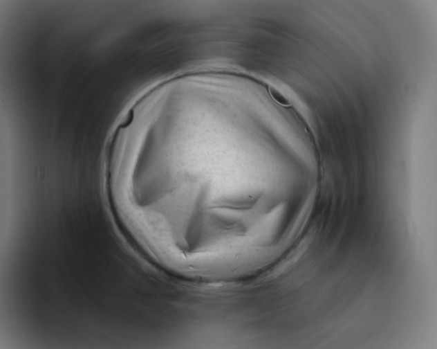 X0000094191390200711161739