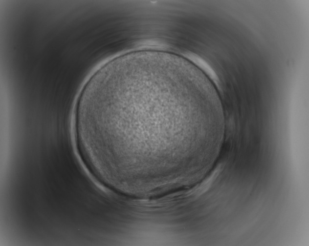 X0000094191391200711161739