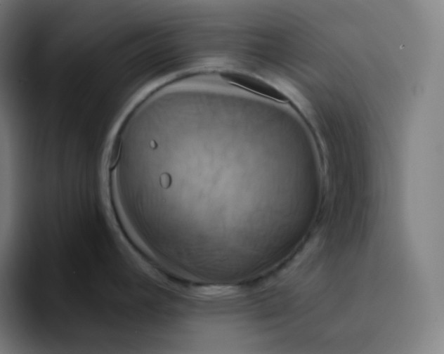 X0000094191392200711161739