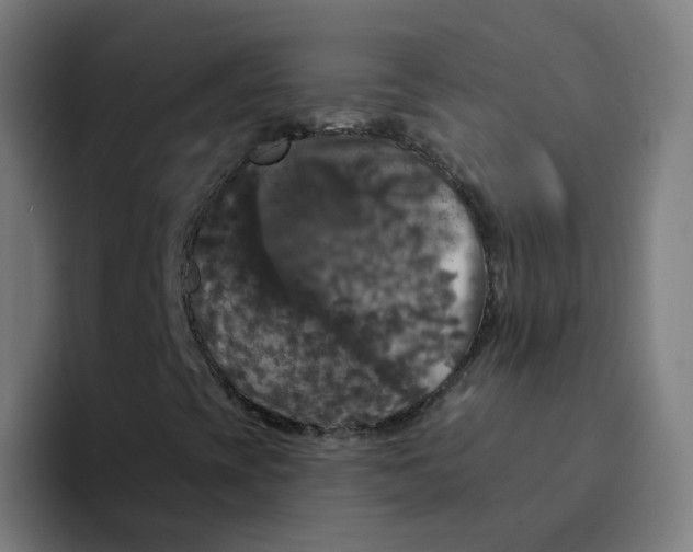 X0000094191393200711161738